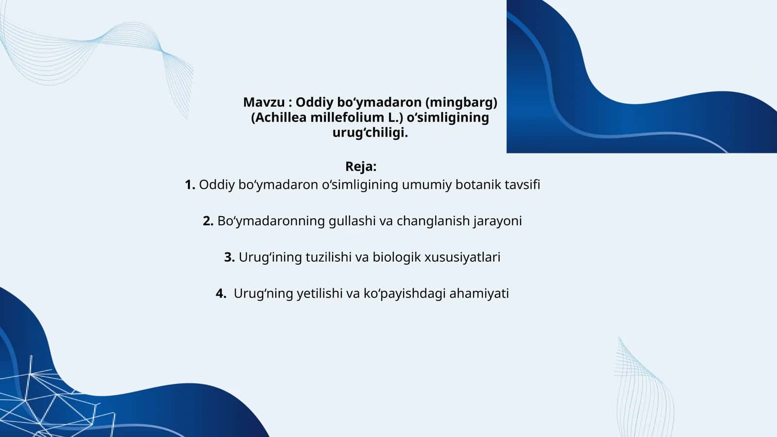 Oddiy bo‘ymadaron (mingbarg) (Achillea millefolium L.) o‘simligining urug‘chiligi