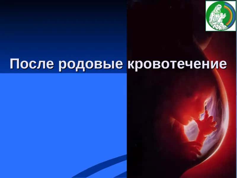 После родовые кровотечение