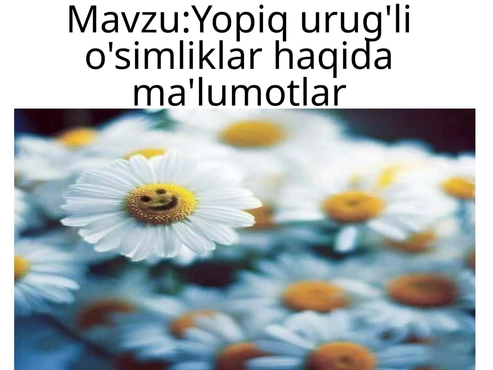 Yopiq urug'li o'simliklar haqida ma'lumotlar