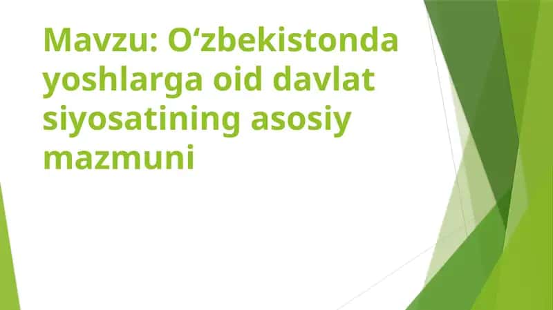 Oʻzbekistonda yoshlarga oid davlat siyosatining asosiy mazmuni