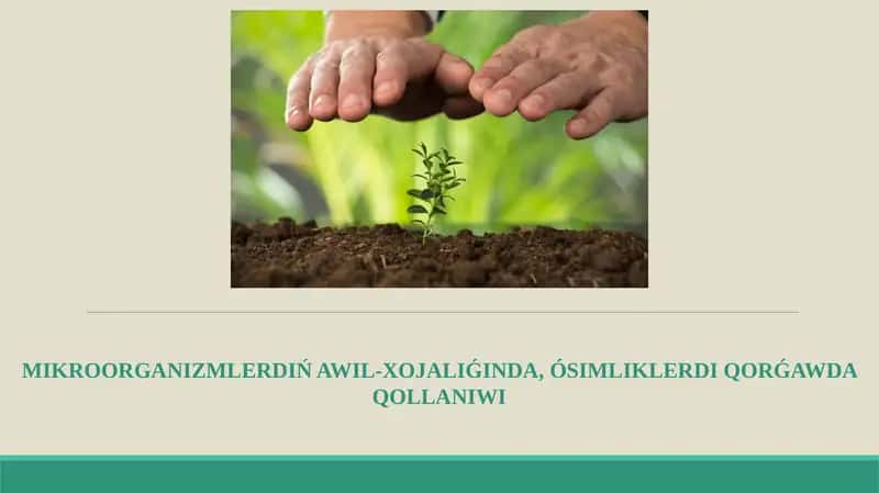 Mikroorganizmlerdıń awıl-xojalıǵında, ósimliklerdi qorǵawda qollanıwı.