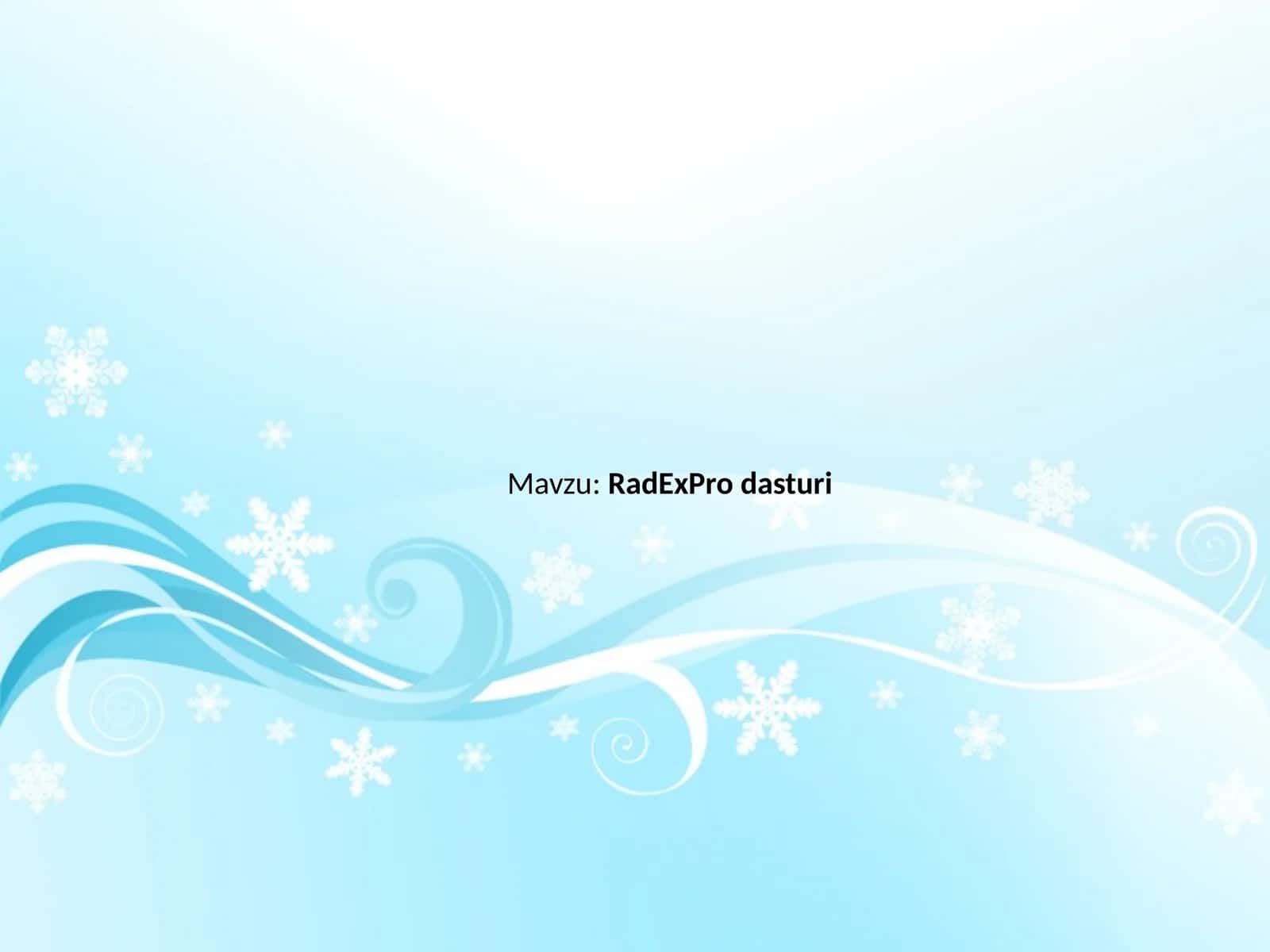 RadExPro dasturi