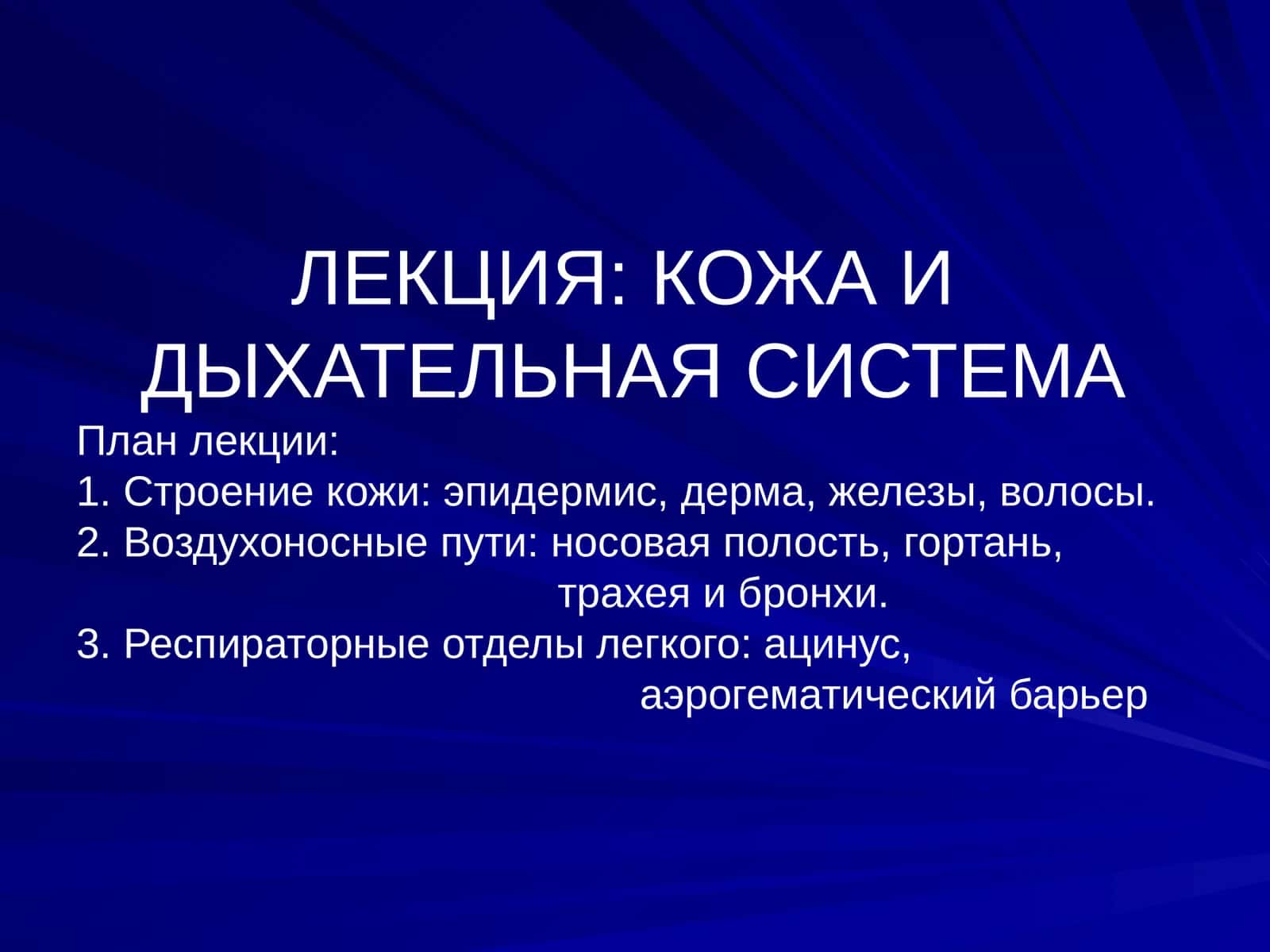 Кожа идиҳотельная система