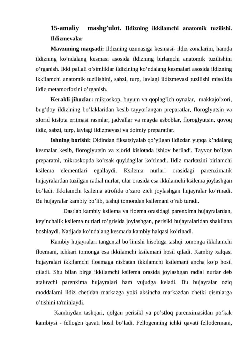 Ildizning ikkilamchi anatomik tuzilishi