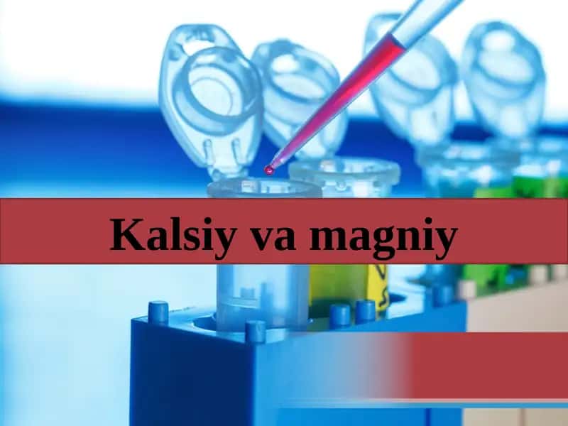 Kalsiyvamagniy