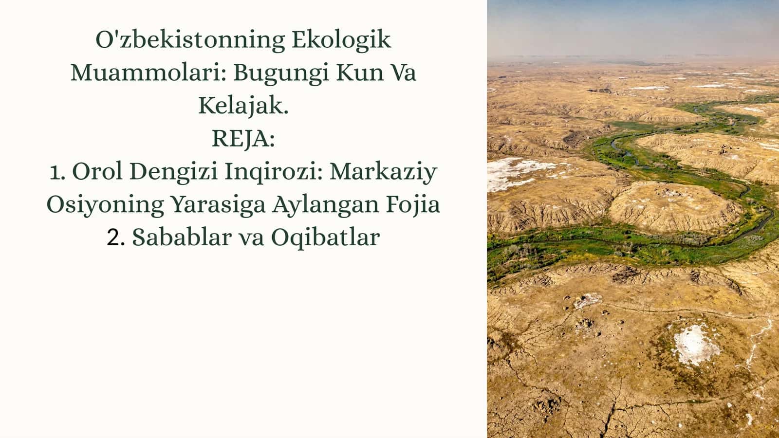 O'zbekistonning Ekologik Muammolari: Bugungi Kun Va Kelajak