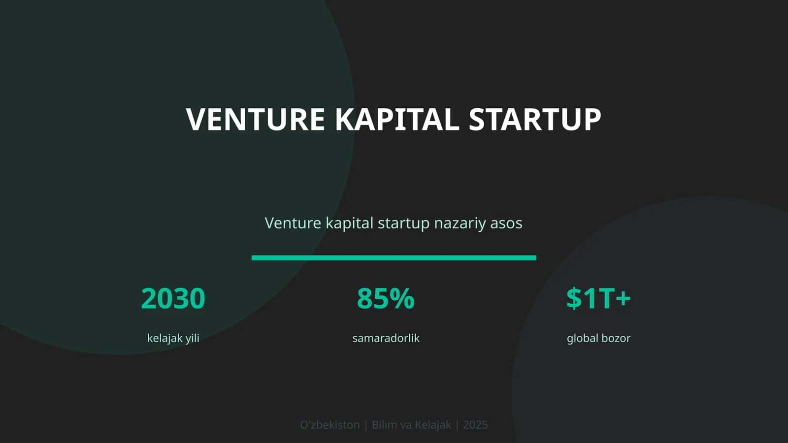 Venture kapital startup