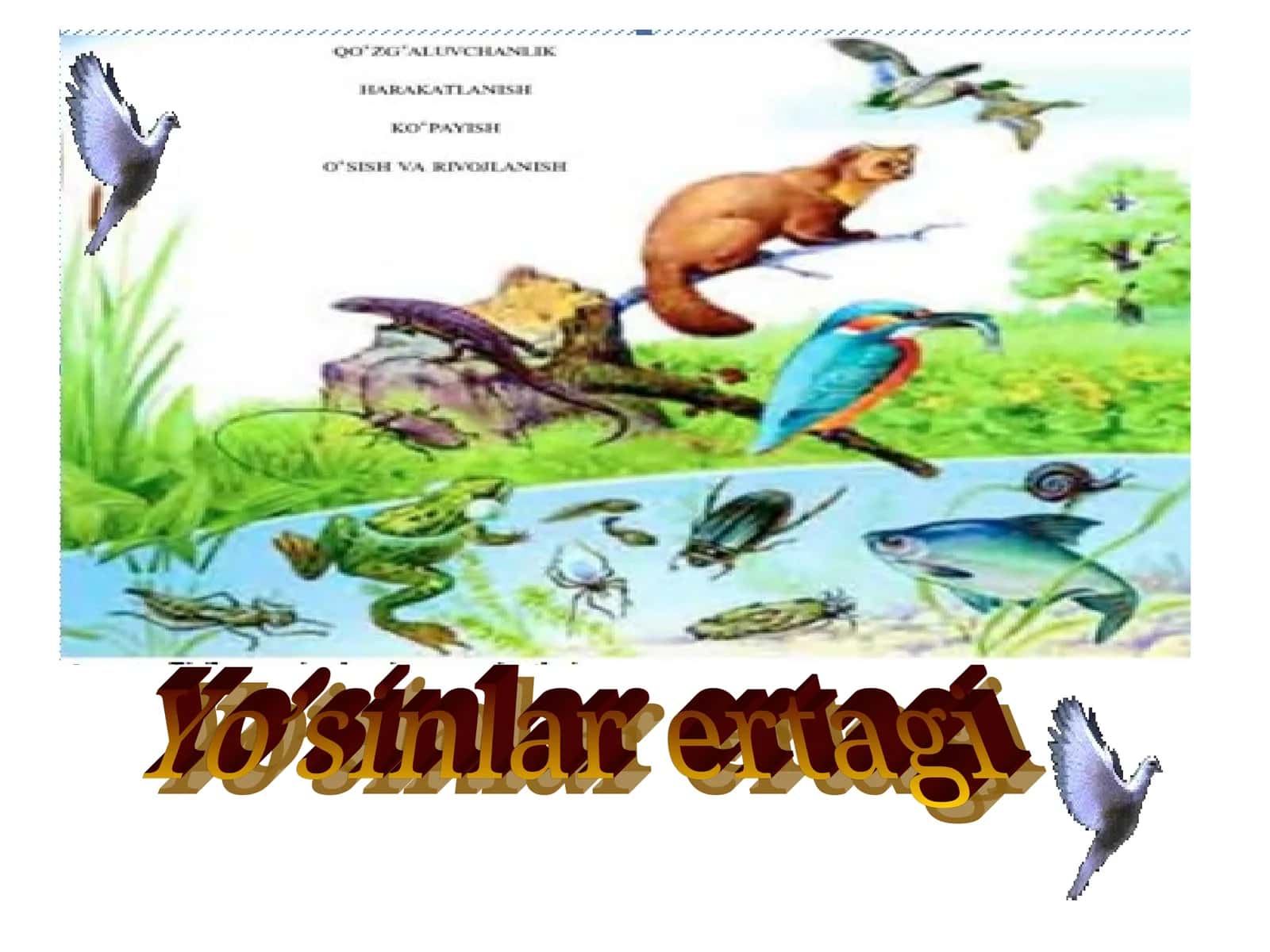 Tuban va yuksak o'simliklar