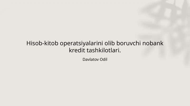 Nobank kredit tashkilotlari hisob-kitob operatsiyalarini osonlashtiradi