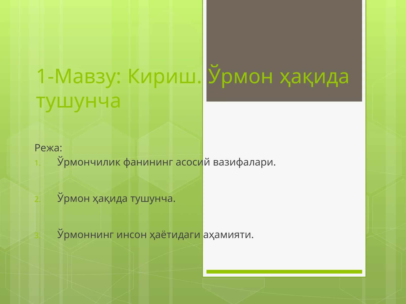 Ўрмон ҳақида тушунча