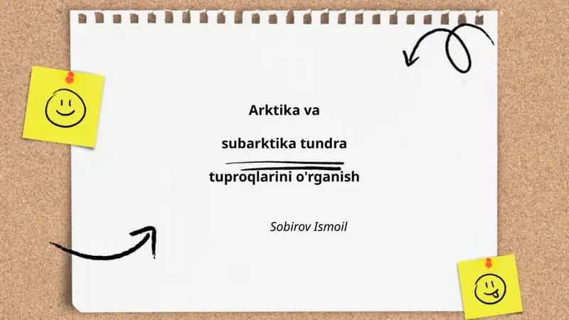 Arktika va subarktika tundra tuproqlarini o'rganish