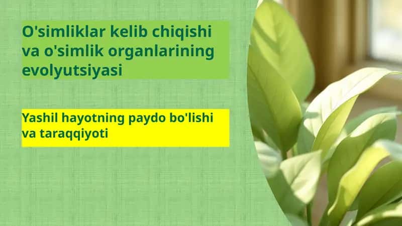 O'simliklar kelib chiqishi va o'simlik organlarining evolyutsiyasi