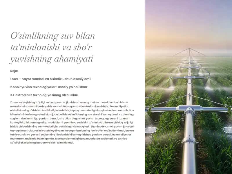 Suv bilan ta'minlanishi va sho'r yuvishning ahamiyati