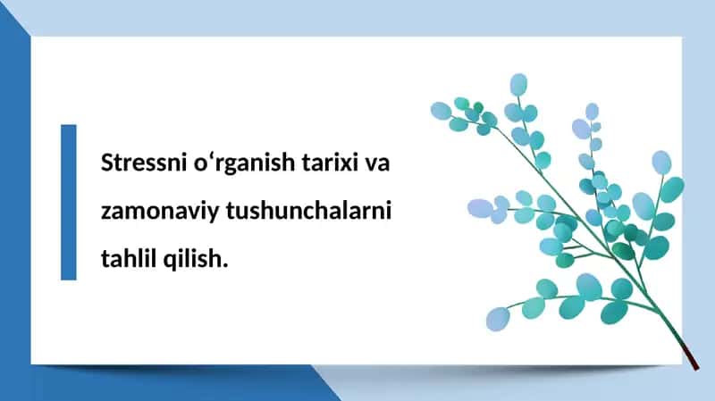 Stress va uning bosqichlari