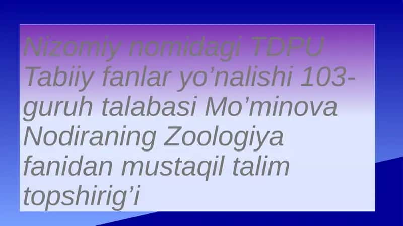 Mo’minova Nodiraning Zoologiya fanidan mustaqil talim topshirig’i