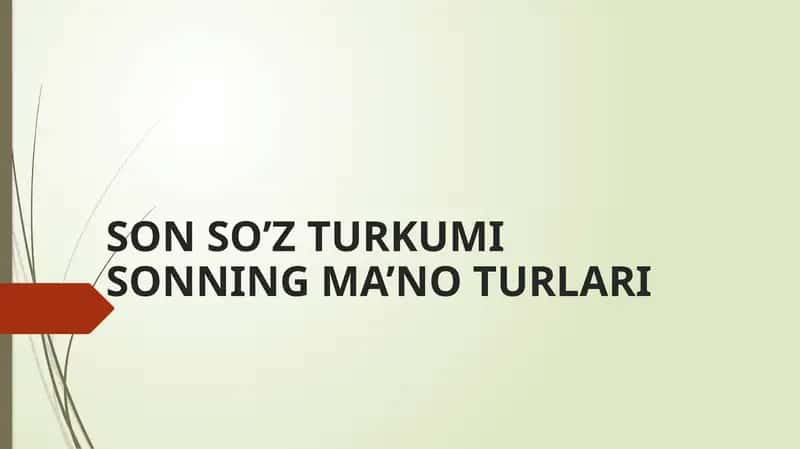 SON SO’Z TURKUMI SONNING MA’NO TURLARI