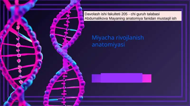 Miyacha rivojlanish anatomiyasi