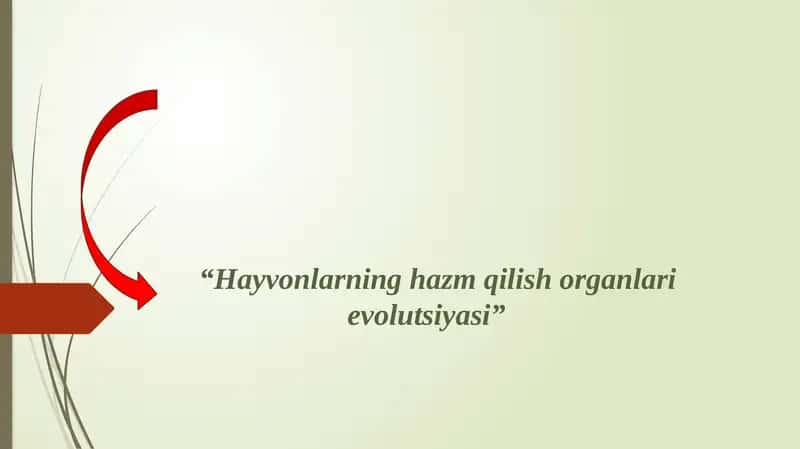 Hayvonlarning qon aylanish organlari evolutsiyasi