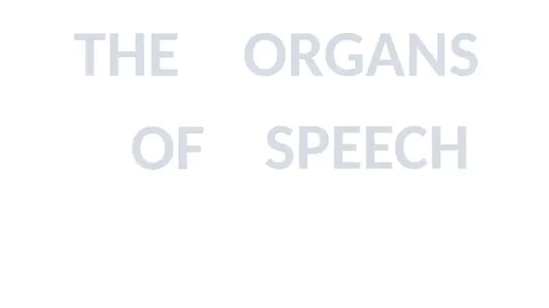 The organs of speech