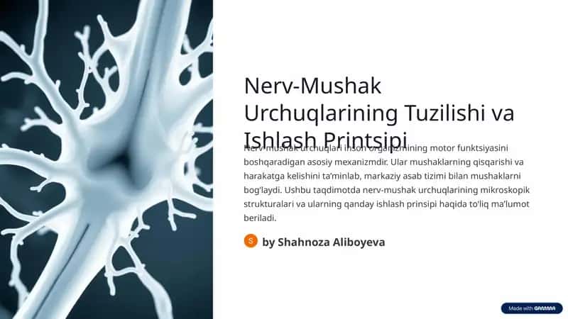 Nerv-Mushak Urchuqlarining Tuzilishi va Ishlash Printsipi