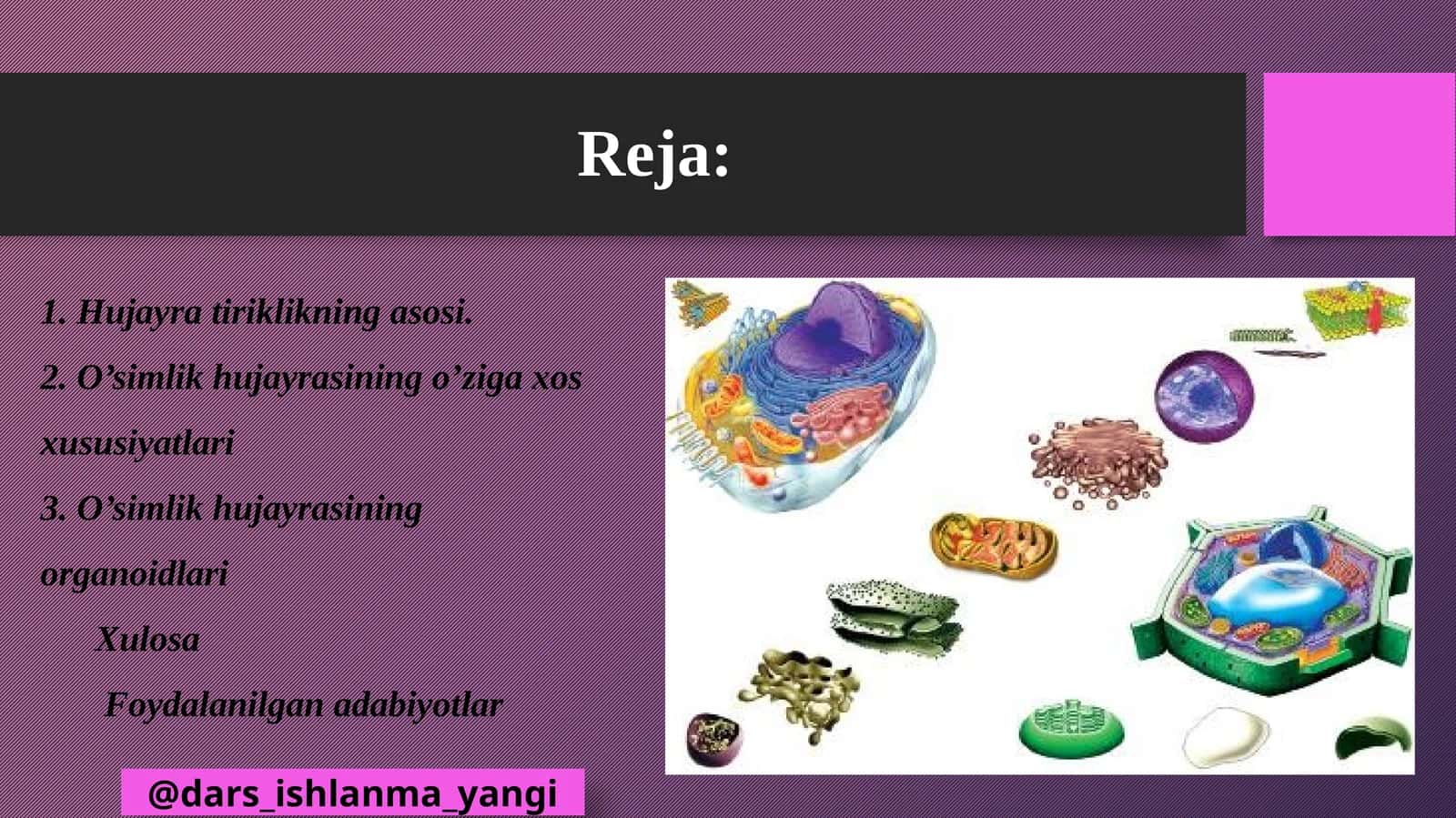 Hujayra tiriklikning asosi
