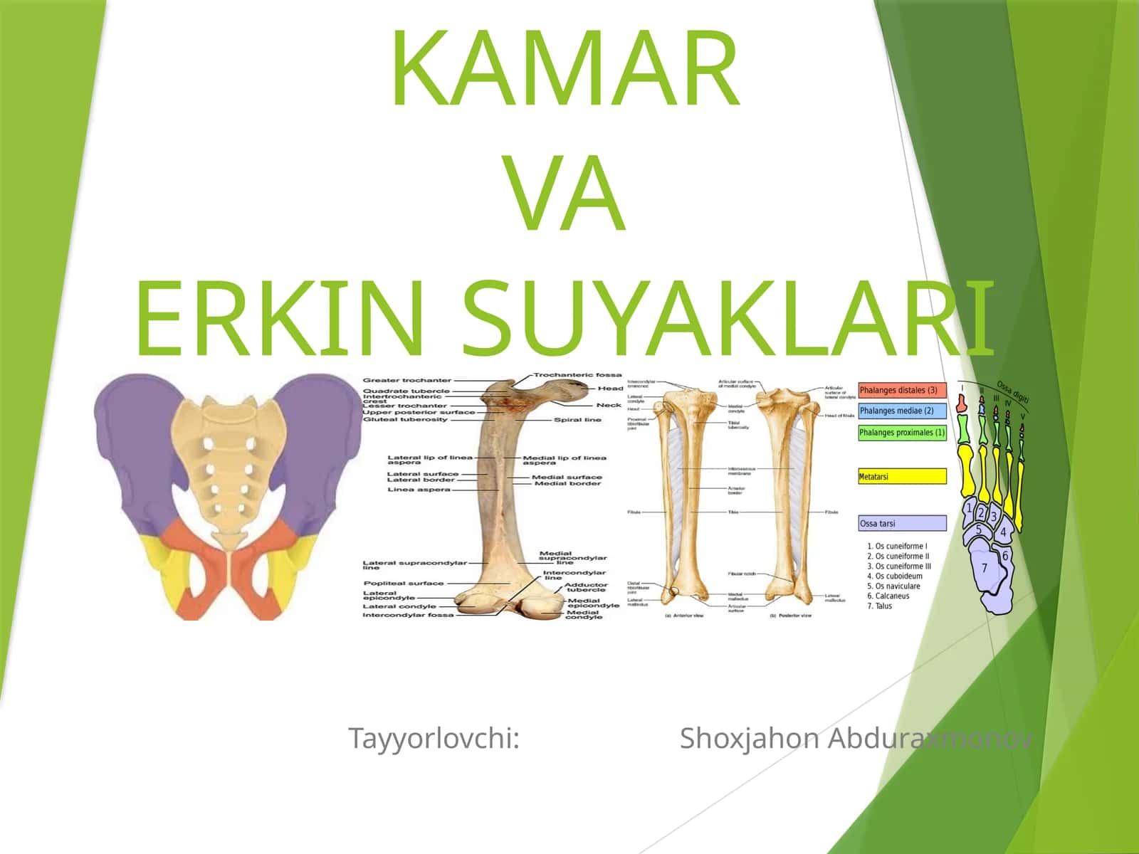 OYOQNING KAMARVAERKIN SUYAKLARI