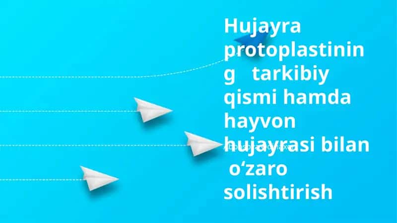 Hujayra protoplastining tarkibiy qismi hamda hayvon hujayrasi bilan oʻzaro solishtirish