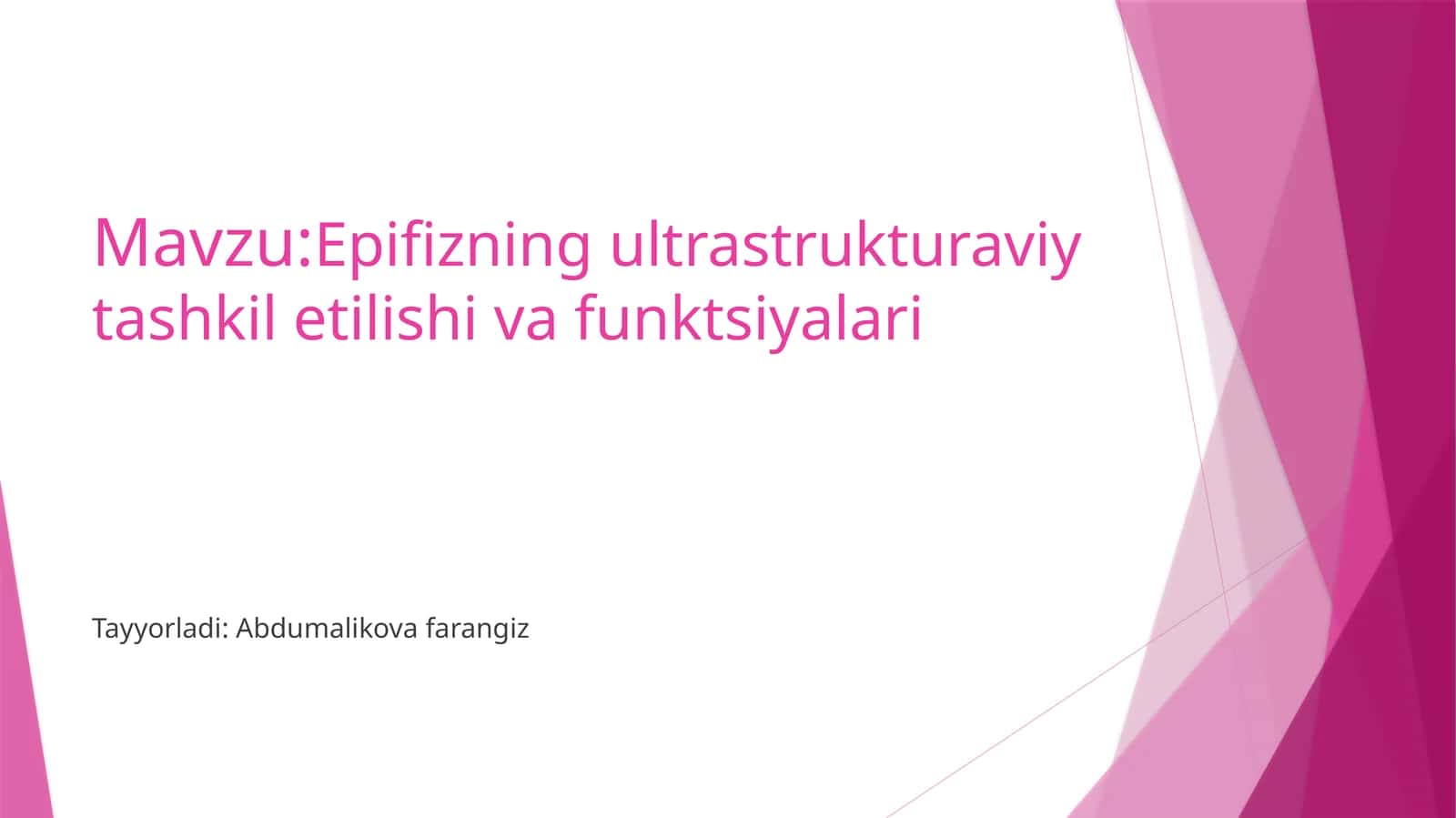 Epifizning ultrastruktura viy tashkil etilishi va funktsiyalari