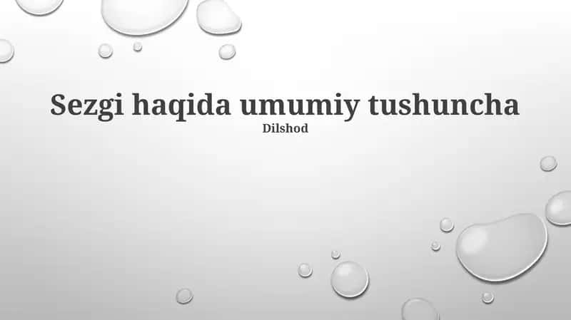 Intuisiya