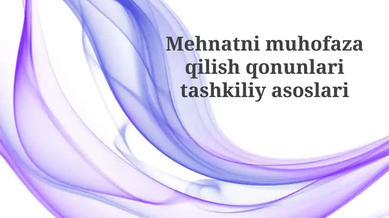 Mehnatni muhofaza qilish qonunlari tashkiliyasoslari