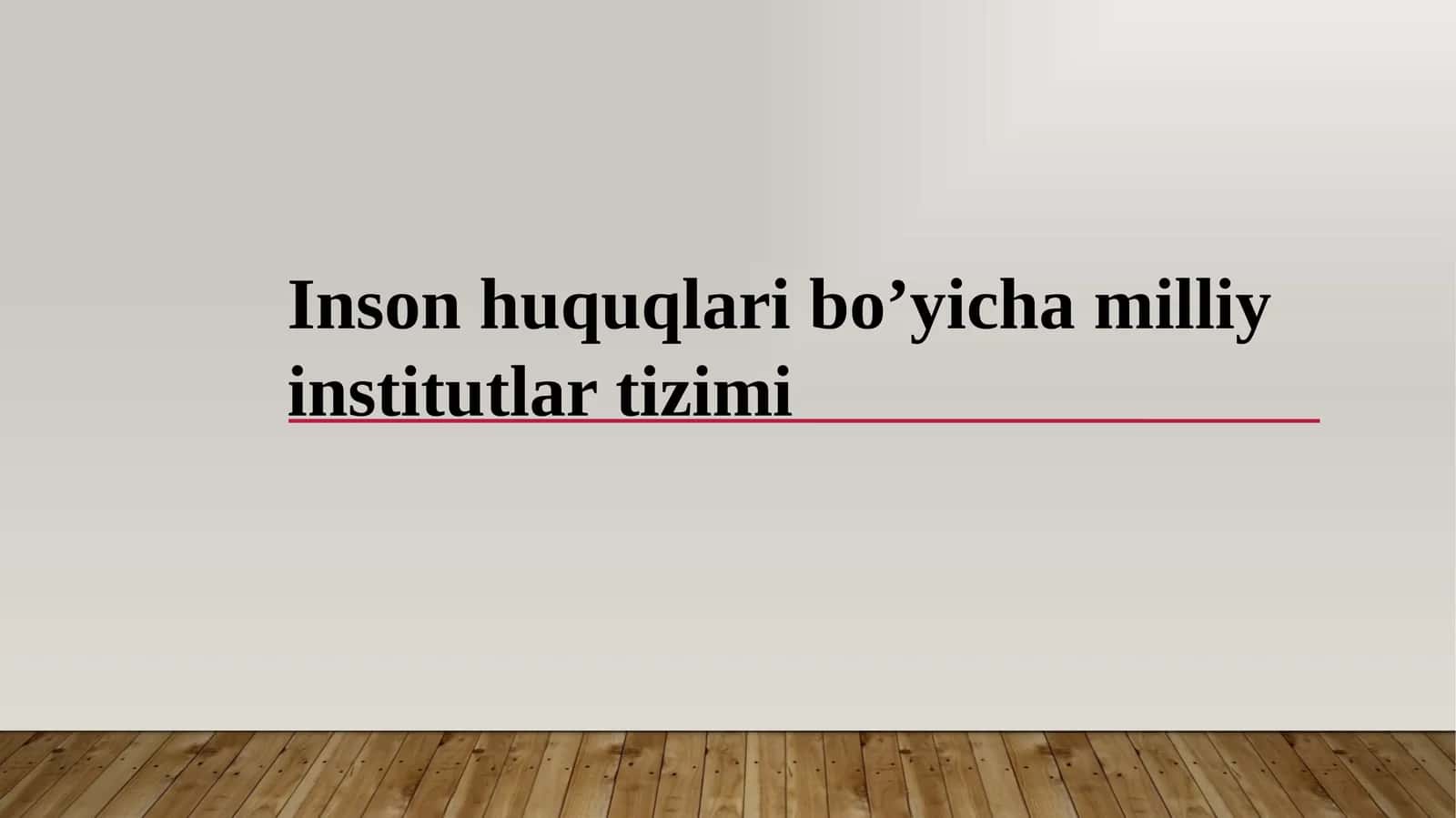 Inson huquqlari bo’yicha milliy institutlar tizimi