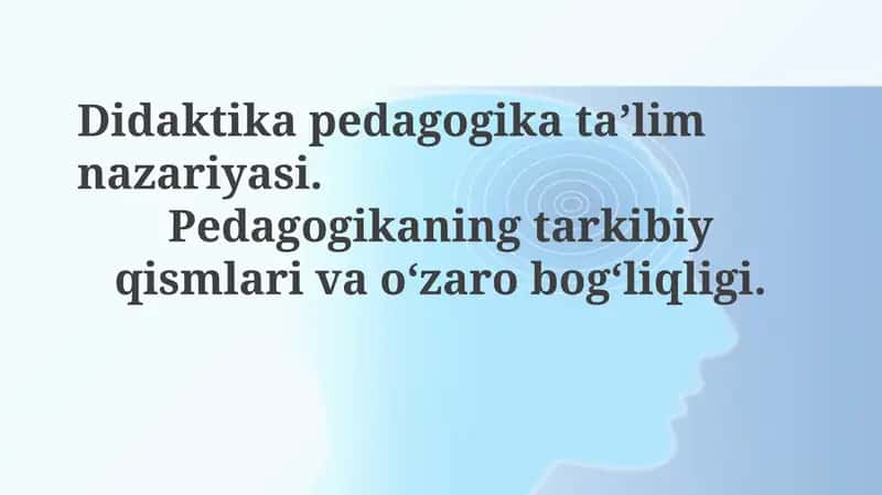 Didaktika va Pedagogika: Asosiy Tushunchalar va Aloqadorlik