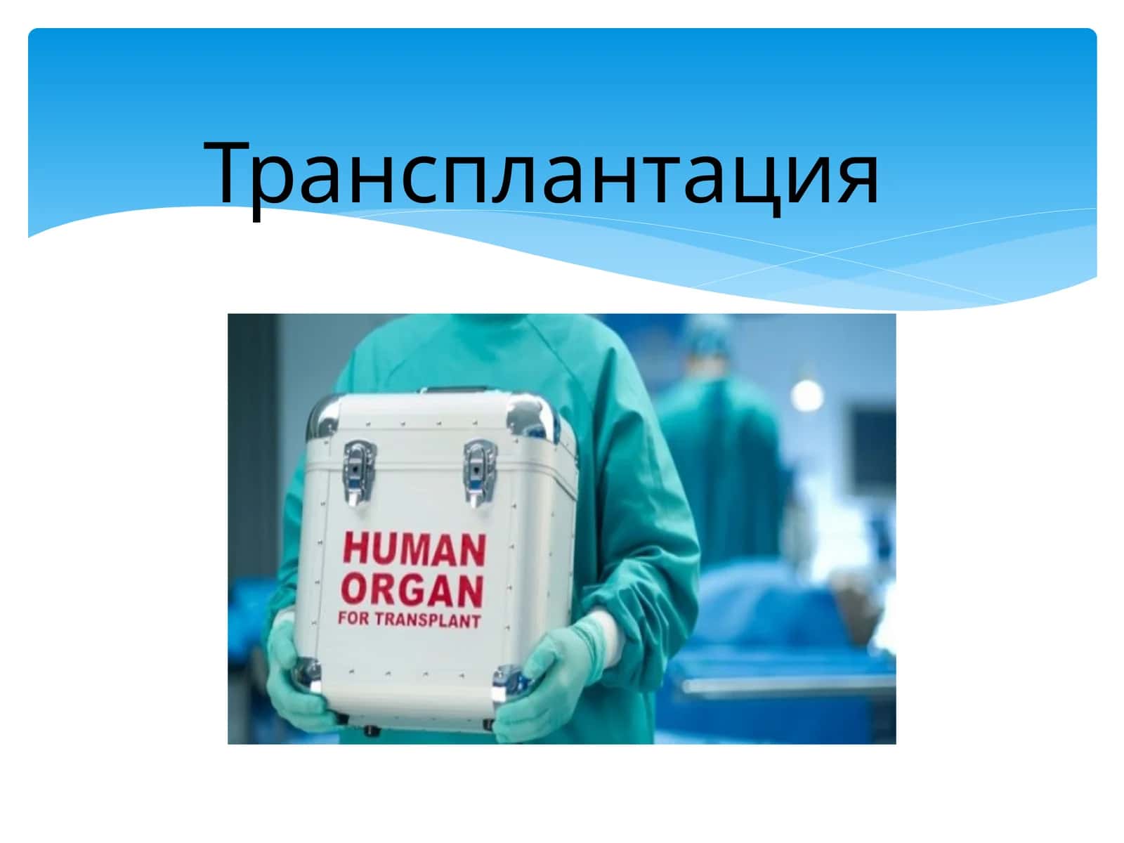 Трансплантация