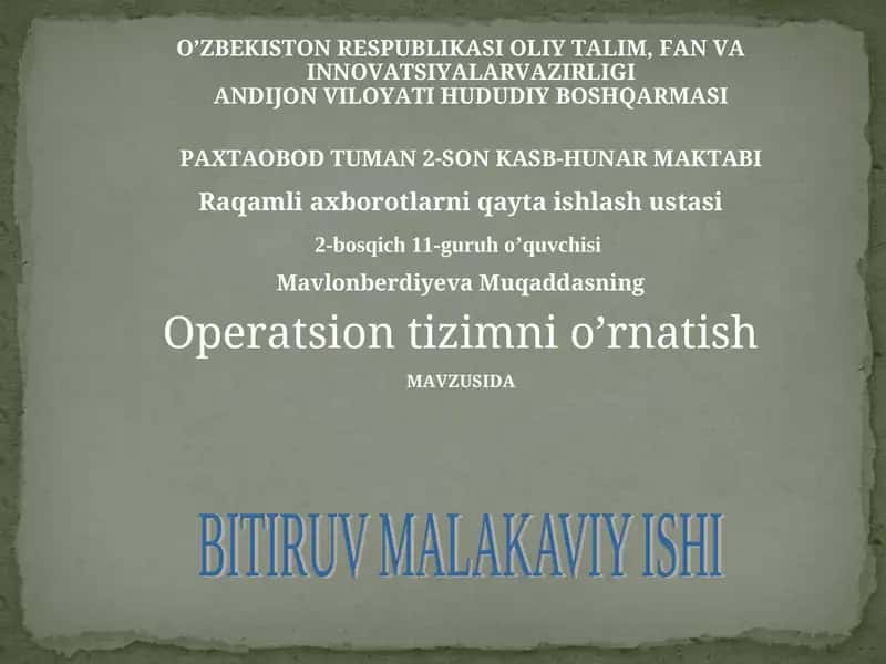 Raqamli axborotlarni qayta ishlash ustasi