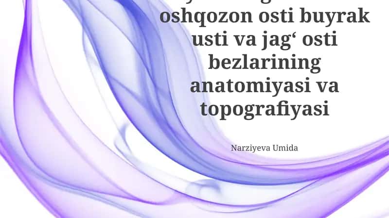 Hayvon organizimida oshqozon osti buyrak usti va jag' osti bezlarining anatomiyasi va topografiyasi