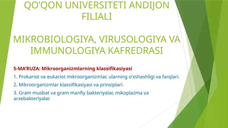 Mikroorganizmlarning klassifikasiyasi