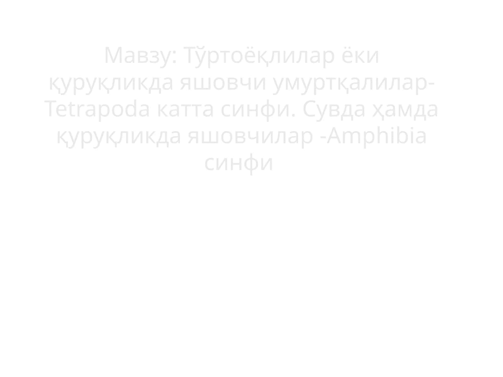 Тўртоёқлилар ёки қуруқликда яшовчи умуртқалилар-Tetrapoda катта синфи