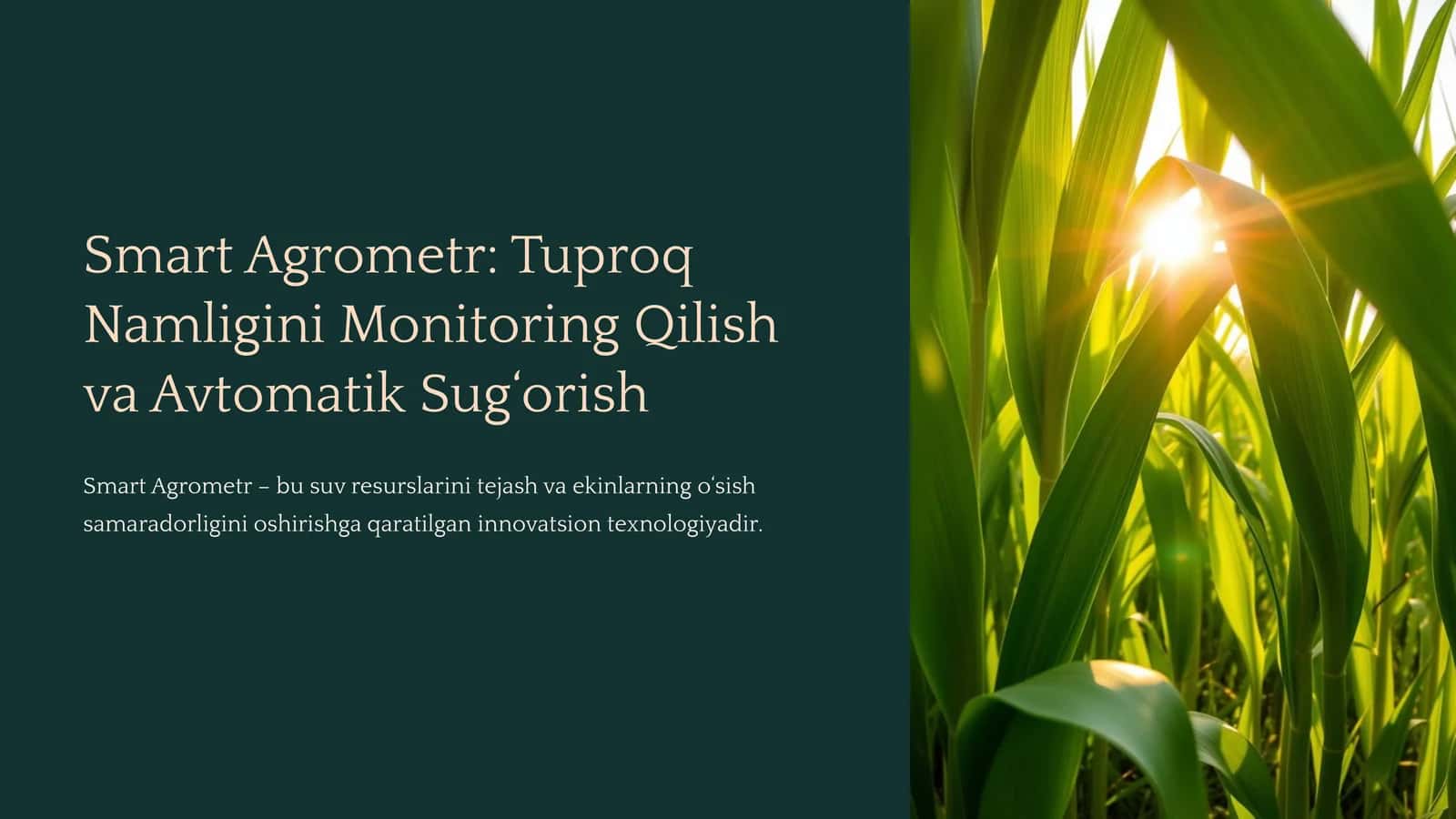 Smart Agrometr