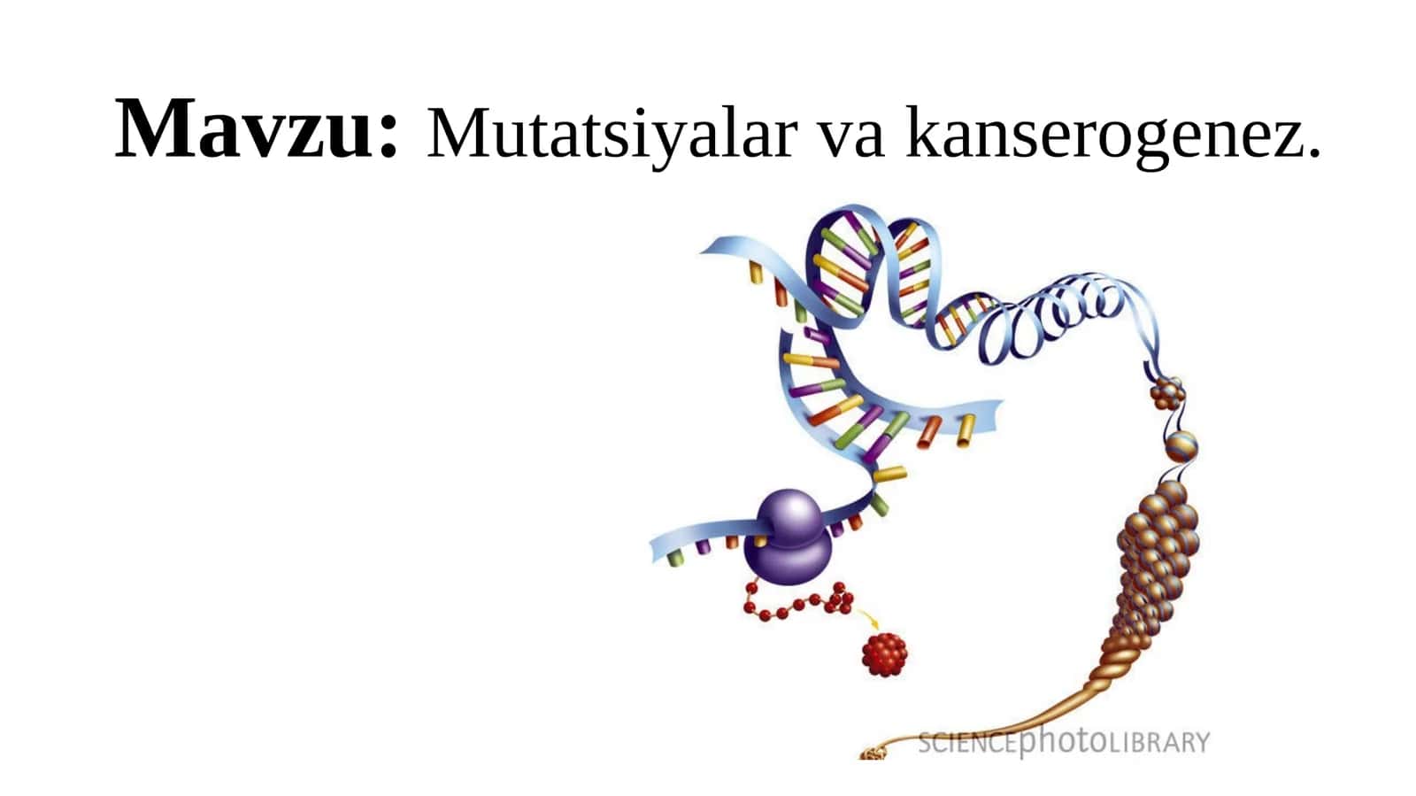 Mutatsiyalar va kanserogenez