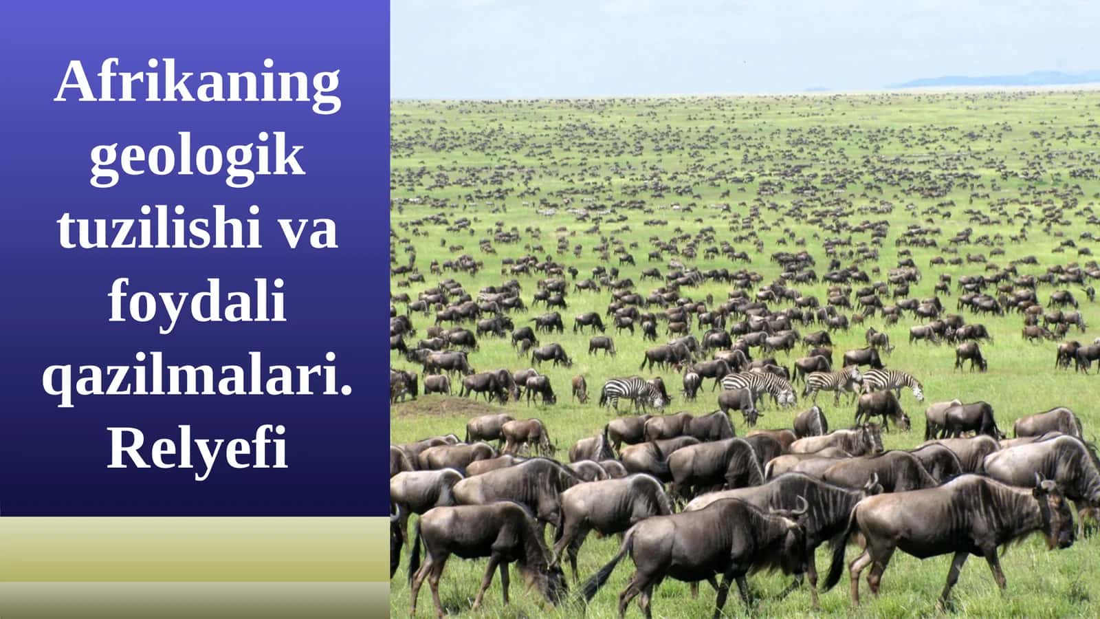 Afrikaning geologik tuzilishi va foydali qazilmalari