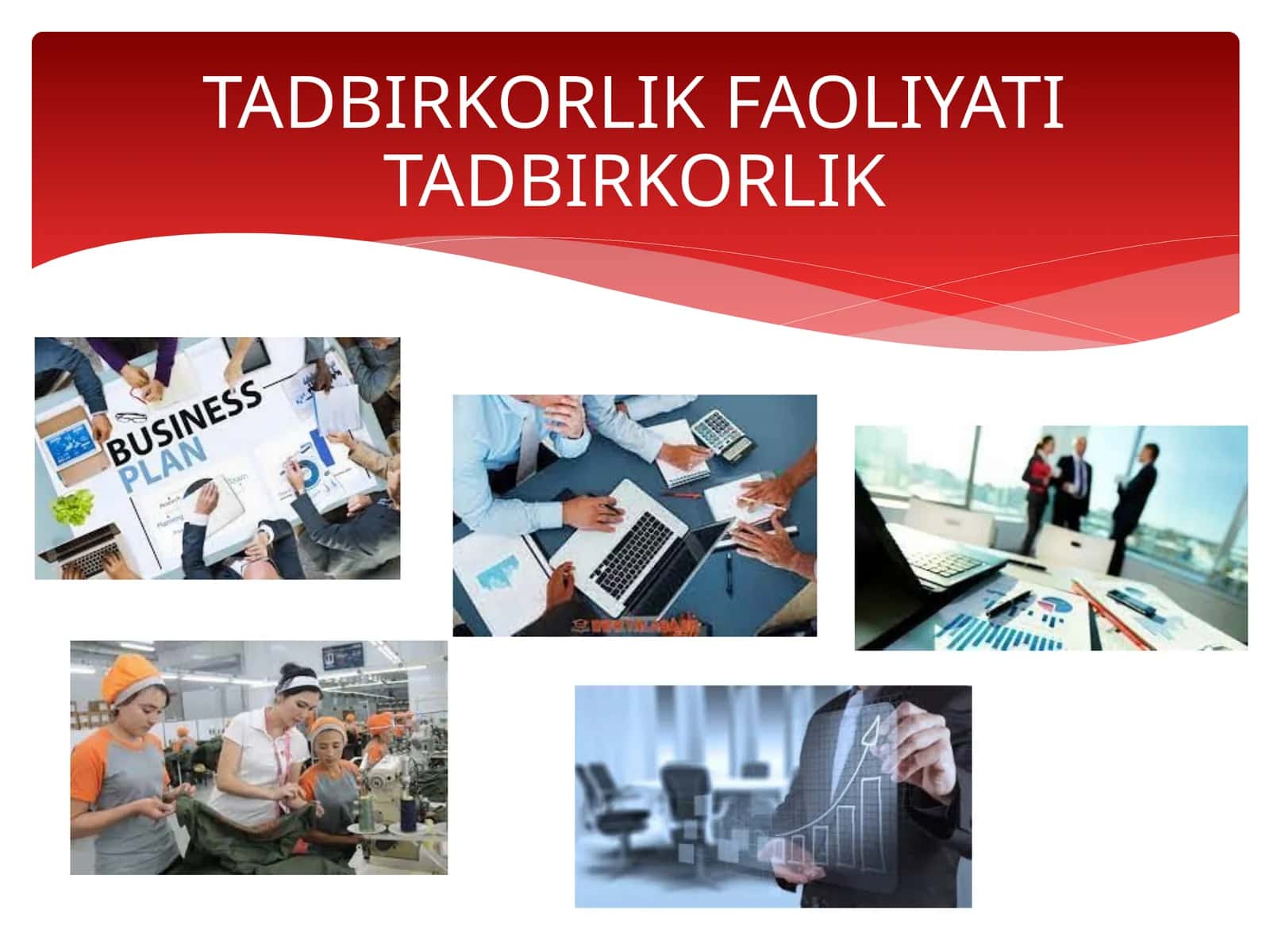 Tadbirkorlik faoliyati