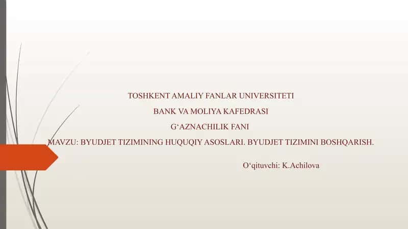 BYUDJET TIZIMINING HUQUQIY ASOSLARI. BYUDJET TIZIMINI BOSHQARISH.