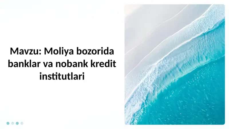 Moliya bozorida banklar va nobank kredit institutlari