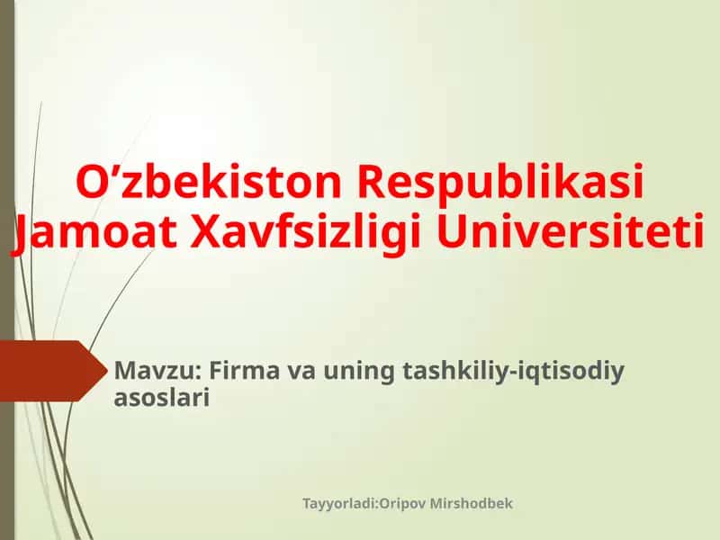 Firmavauningtashkiliy-iqtisodiyasoslari