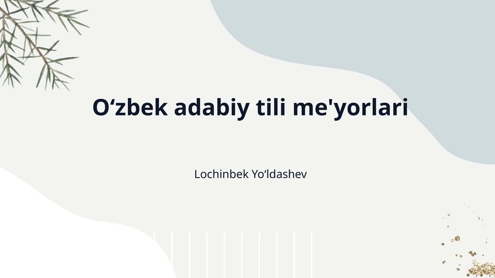 O‘zbek adabiy tili me'yorlari