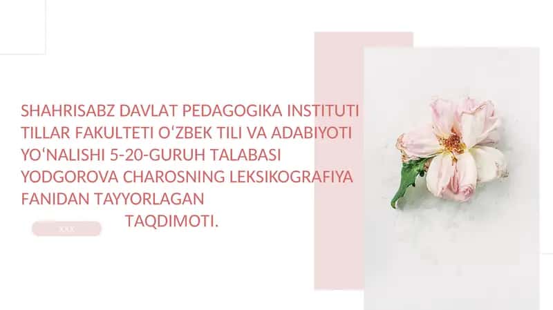 Lug‘atlar tizimi