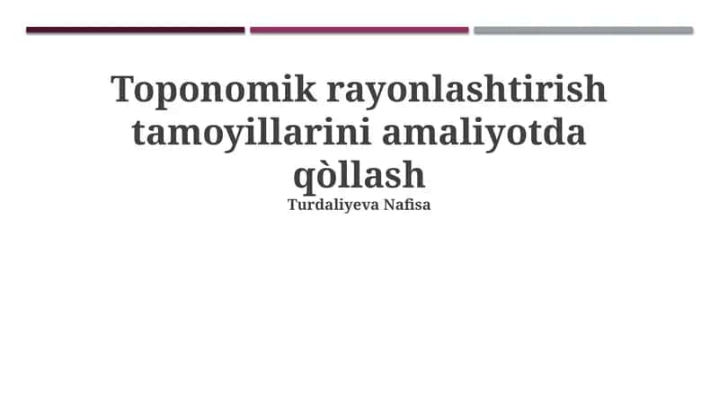 Toponomik rayonlashtirish tamoyillarini amaliyotda qòllash