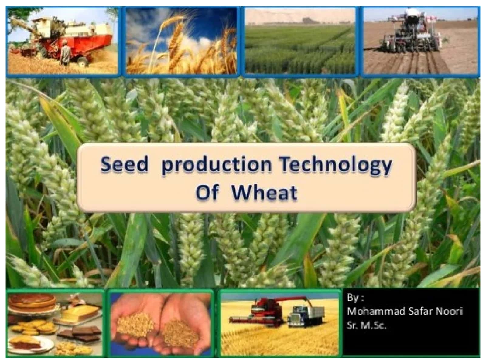 Wheat Targets - 2030 AD