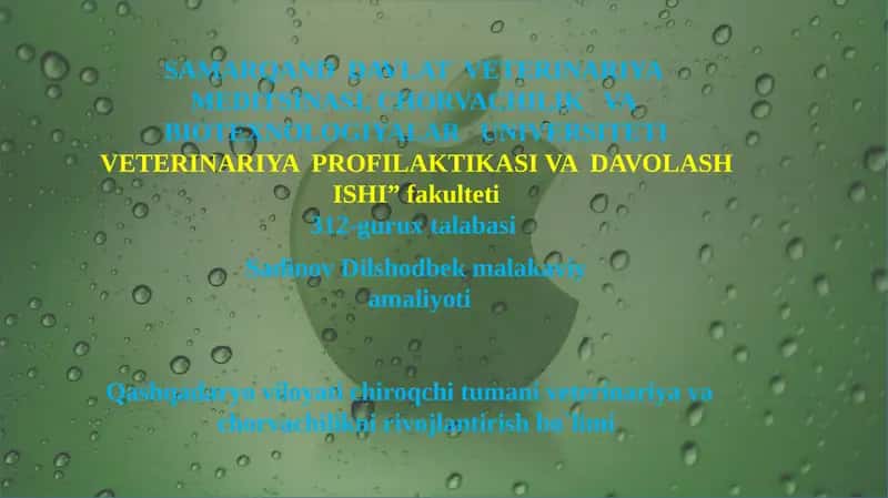 VETERINARIYA PROFILAKTIKASI VA DAVOLASH ISHI