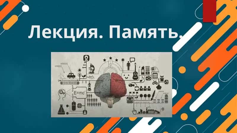 Лекция. Память